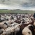 STEPPE 1 thumbnail